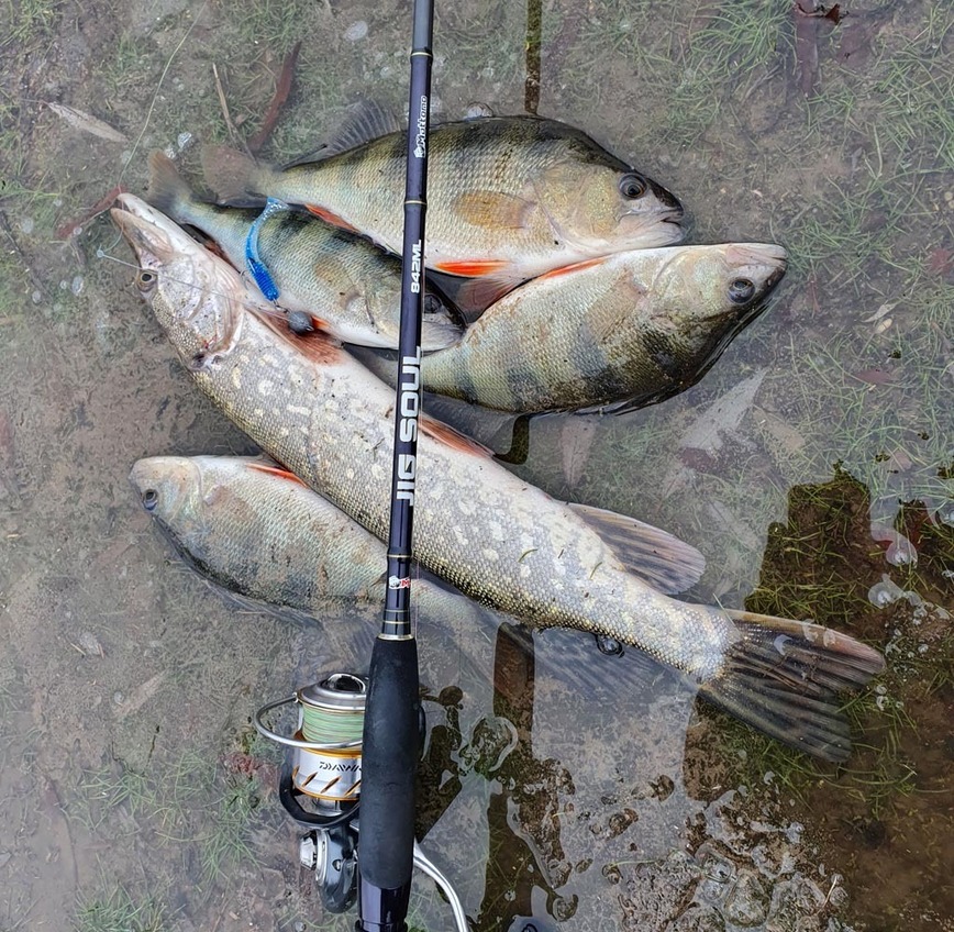 Изображение Фото: Коломийца Алексея.