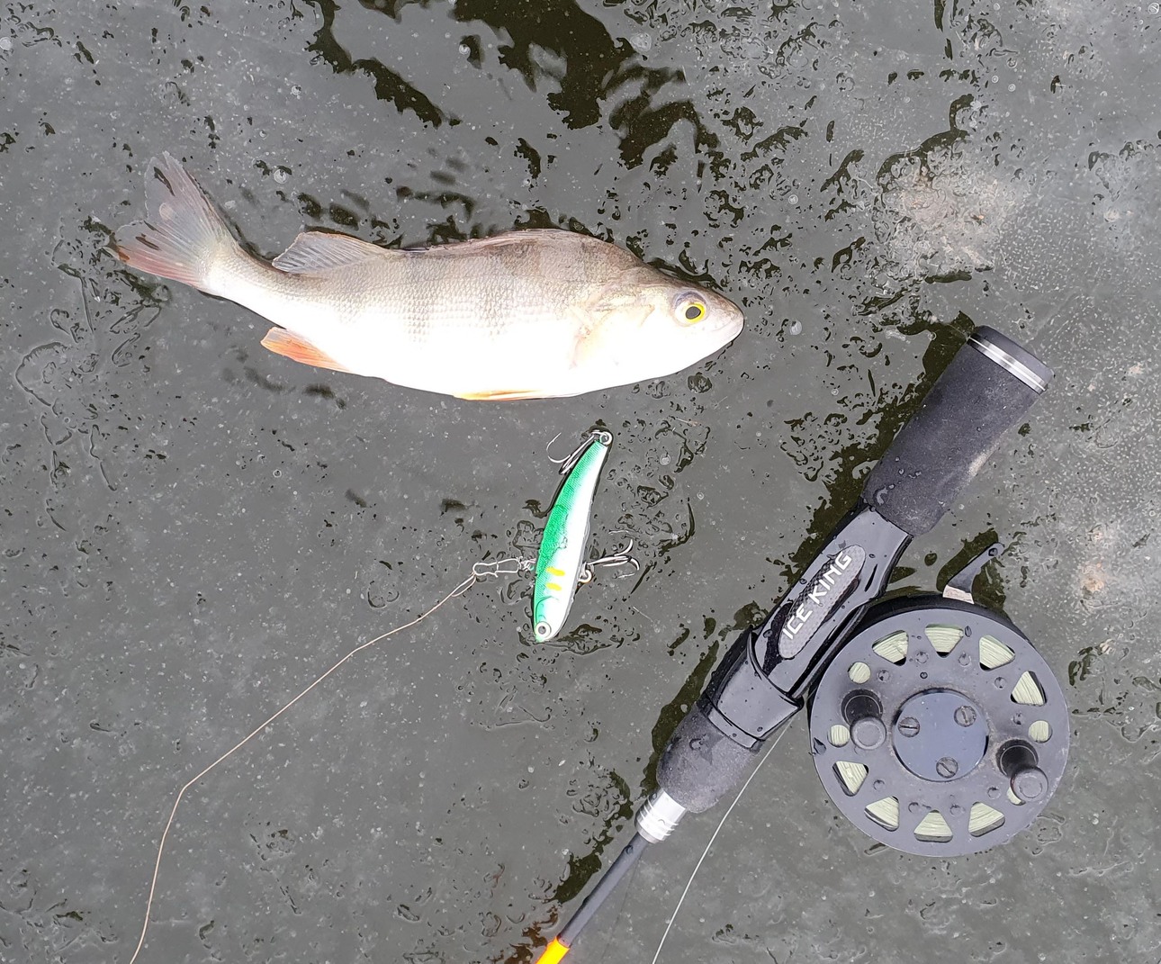 Изображение Фото: Коломийца Алексея.