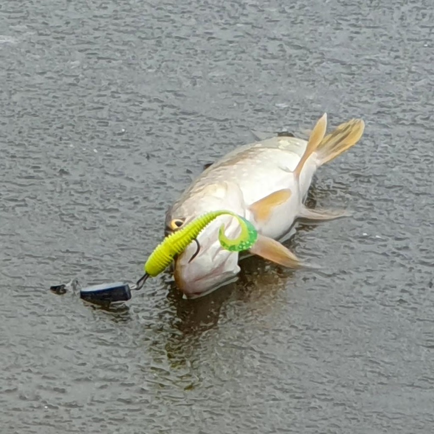 Изображение Фото: Коломийца Алексея.