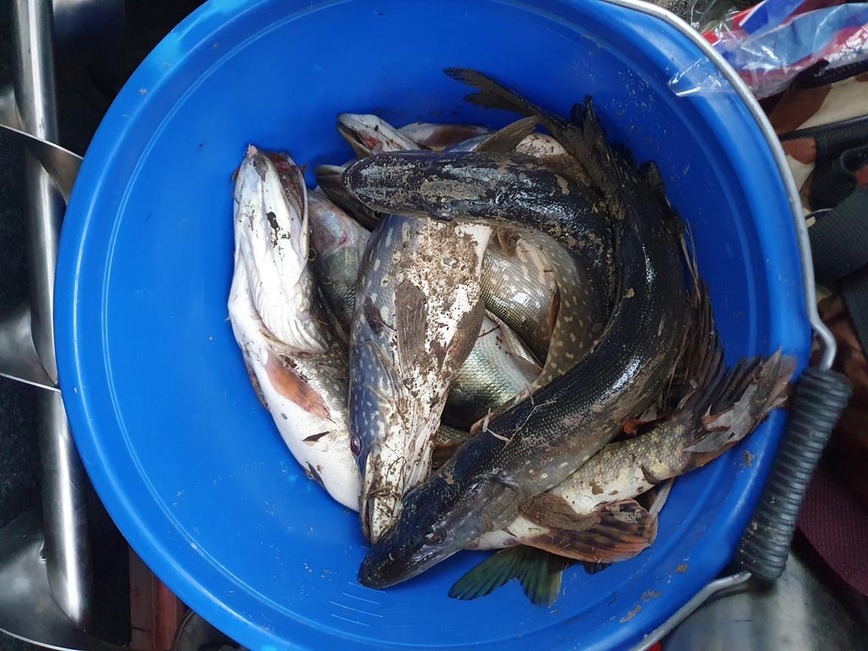 Изображение Вы заметили ледобур в багажнике? Фото: Коломийца Алексея. 