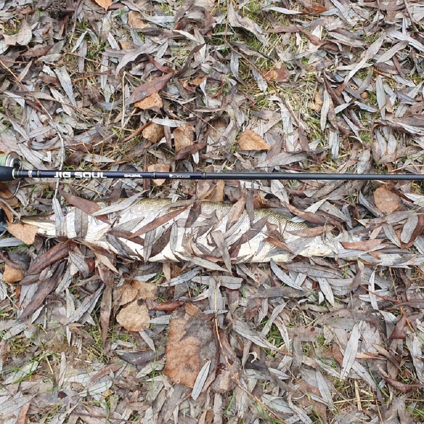 Изображение Времени не было нести щуку в багажник. Фото: Коломийца Алексея. 