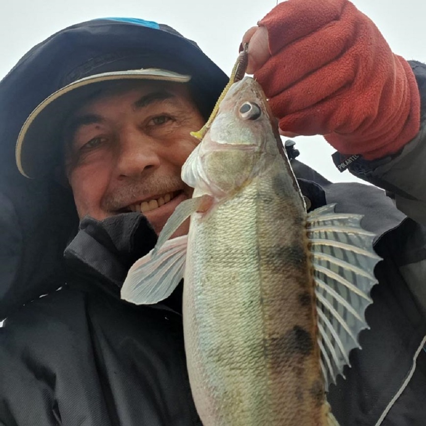 Изображение Бершик нарядный. Фото: Коломийца Алексея. 