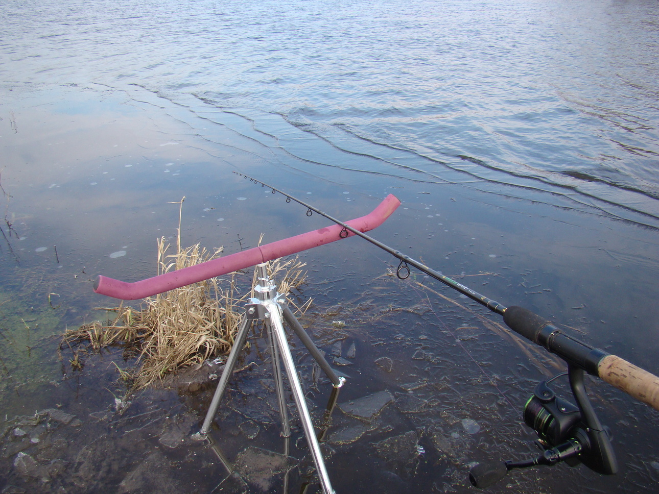 Изображение Фото: Линника Николая.