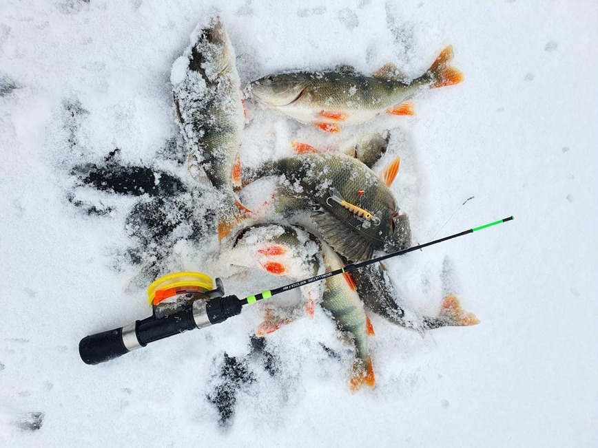 Изображение Фото: Коломийца Алексея.