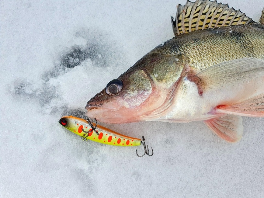 Изображение Фото: Коломийца Алексея.