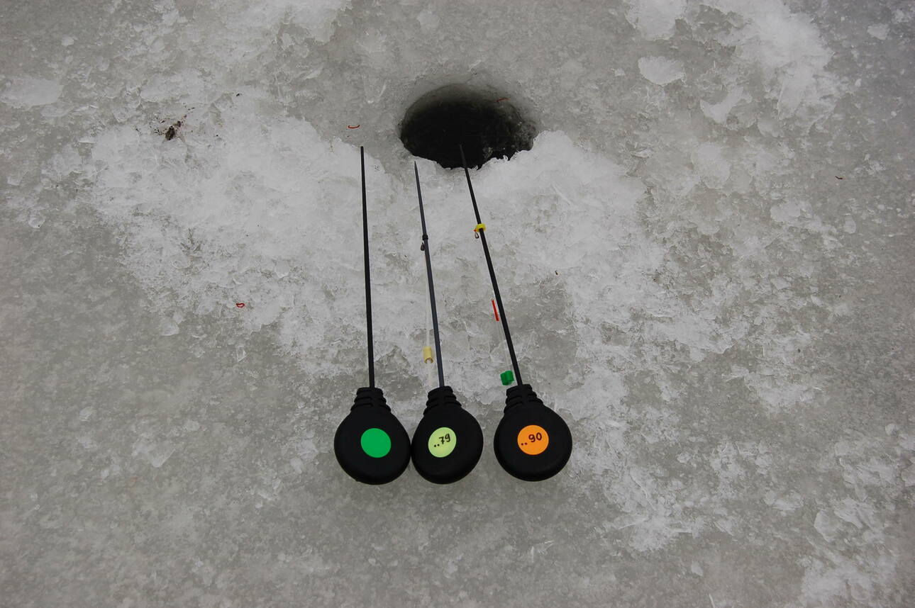 Изображение Фото: Яншевского Андрея. 