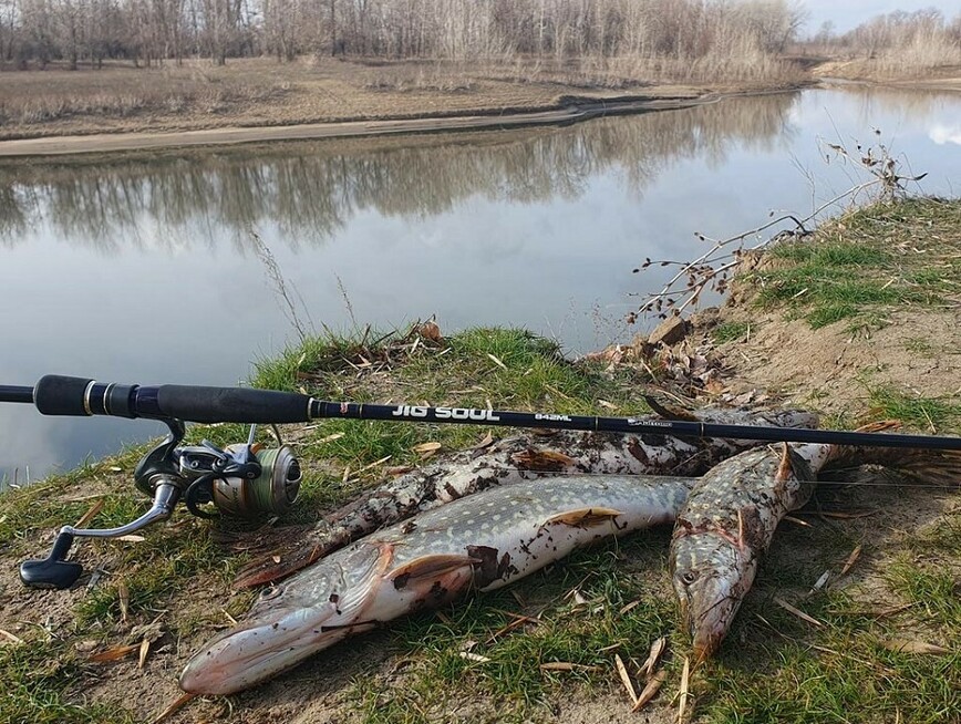 Изображение Фото: Коломийца Алексея.