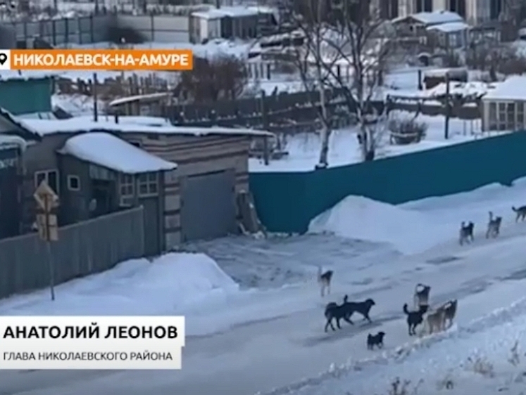 Изображение Спасенная рыбаком хабаровчанка не обойдется без пластики лица