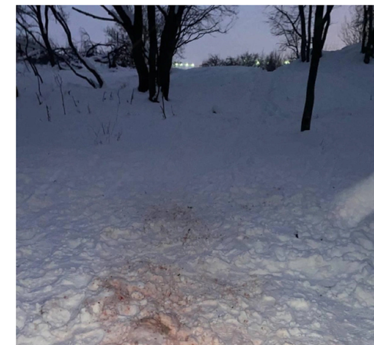 Изображение Место, где произошла трагедия
https://26.ru/text/incidents/2025/02/23/75143972/