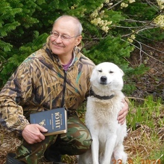 аватар пользователя