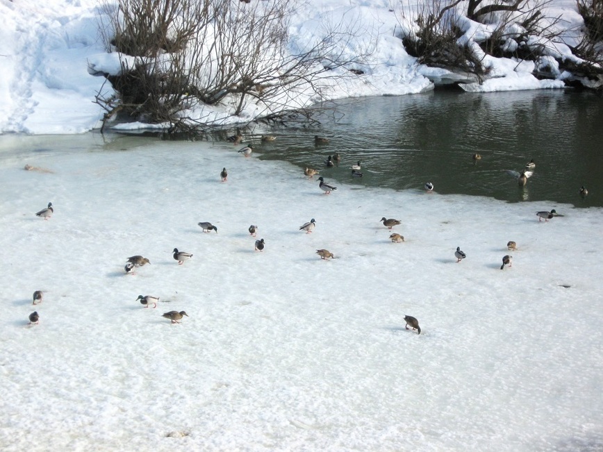Изображение Фото автора. 