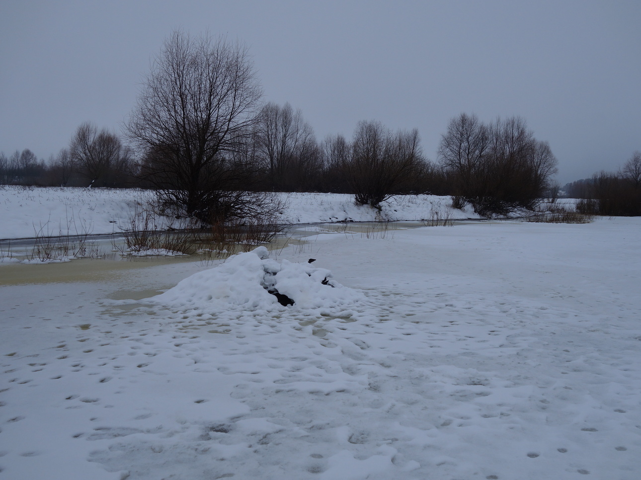 Изображение Фото: Линника Николая. 