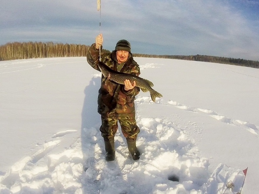 Изображение Фото автора.