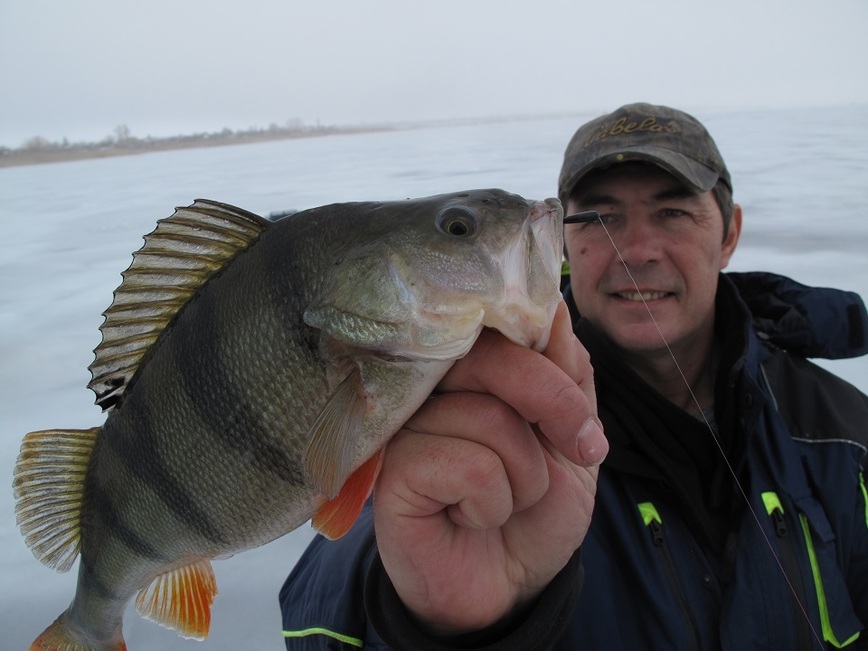 Изображение В двух метрах от дна ловились весьма приятные экземпляры! Фото: Коломийца Алексея.
