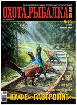 Обложка Выпуска 258