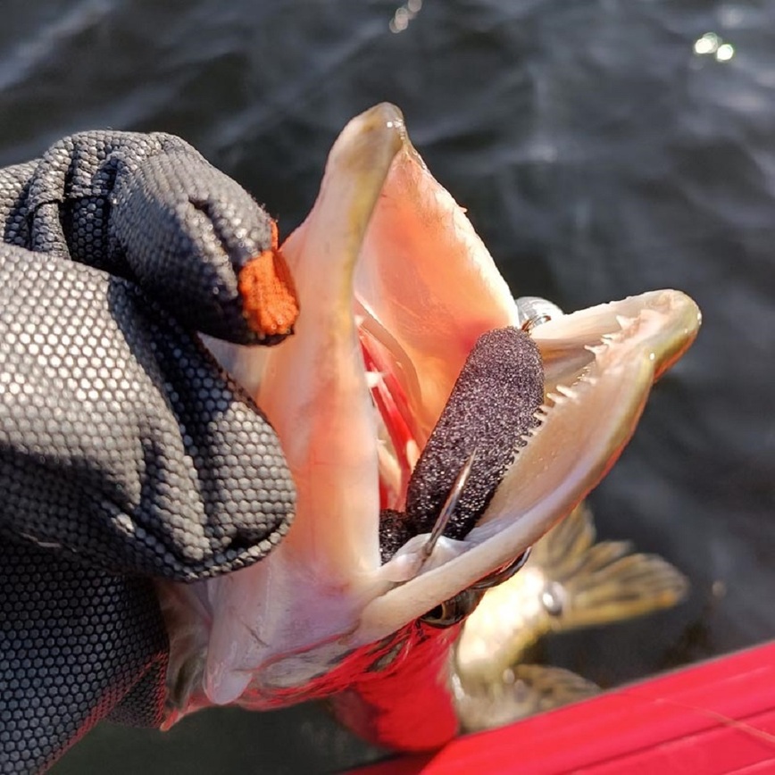 Изображение Фото: Коломийца Алексея. 