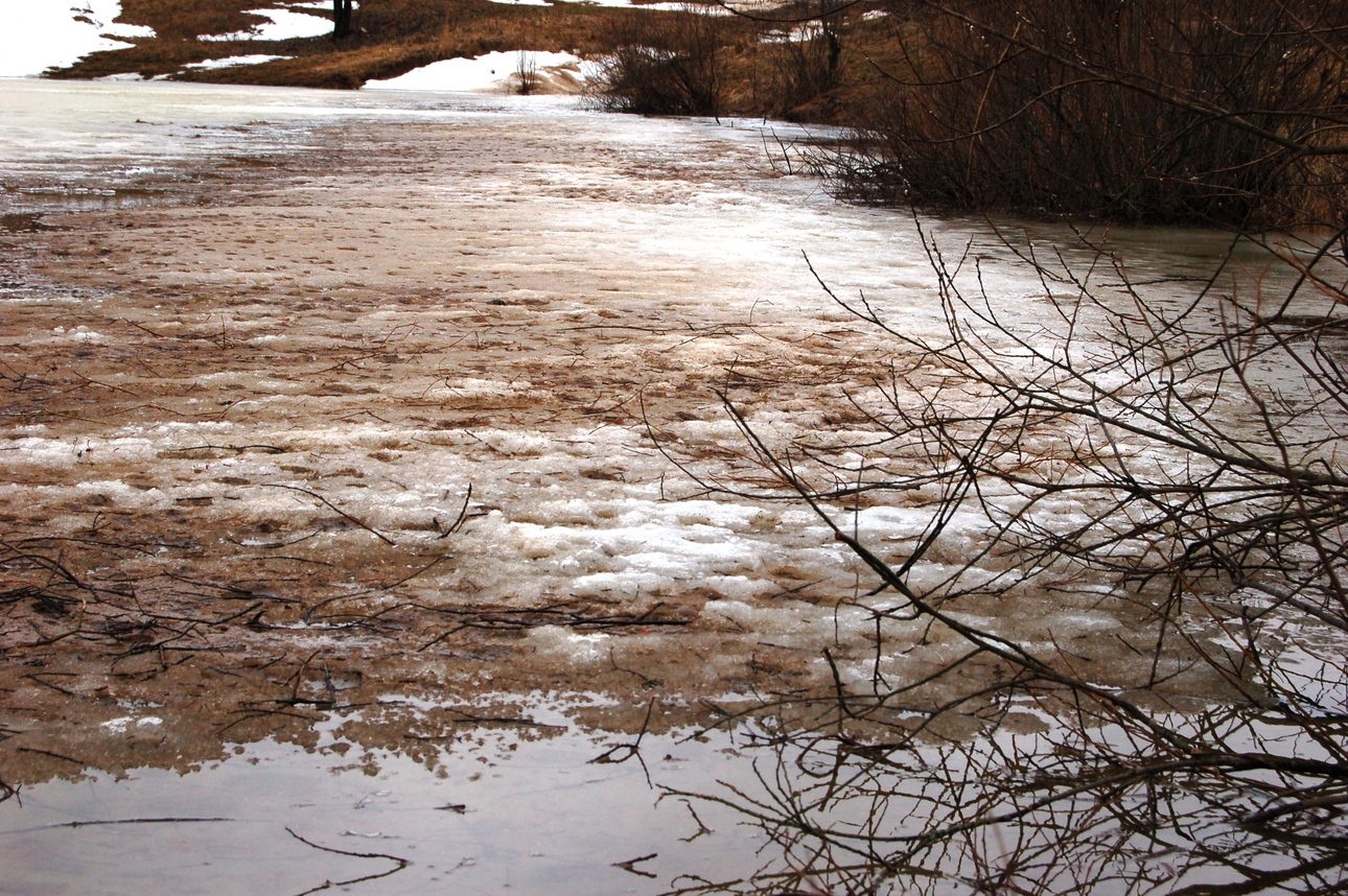 Изображение Вот такой он рыхлый лед на закраинах. Фото: Яншевского Андрея.