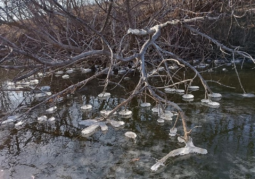Изображение Фото: Коломийца Алексея.