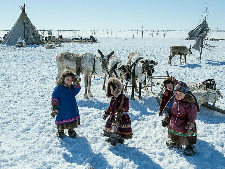 Изображение Двое детей оленеводов замерзли ночью в Ямальском районе
