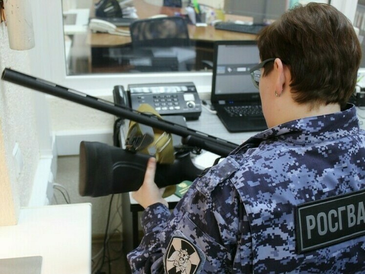 Изображение Охотник в Коми скрыл факт утери охотничьего ружья