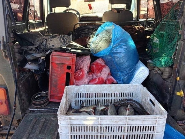 Изображение Браконьер с сетью и рыбой попался на автодороге