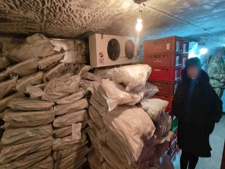 Изображение Пограничники обнаружили на складе почти 4 тонны нелегальной рыбы 