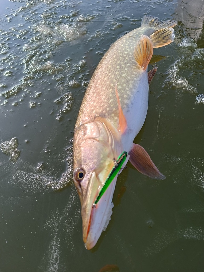 Изображение Фото: Коломийца Алексея. 