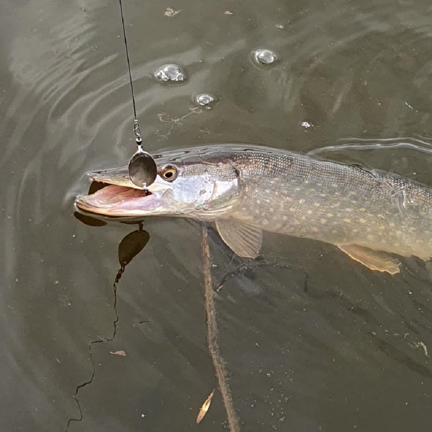 Изображение Фото: Коломийца Алексея.