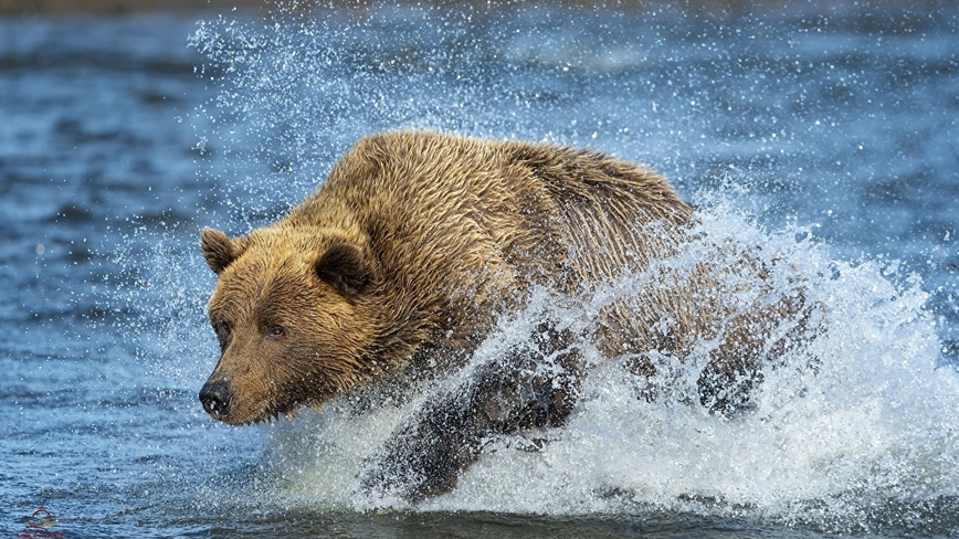Изображение Фото: 1zoom.ru