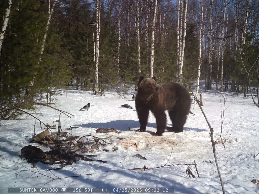 Изображение https://vk.com/biom89