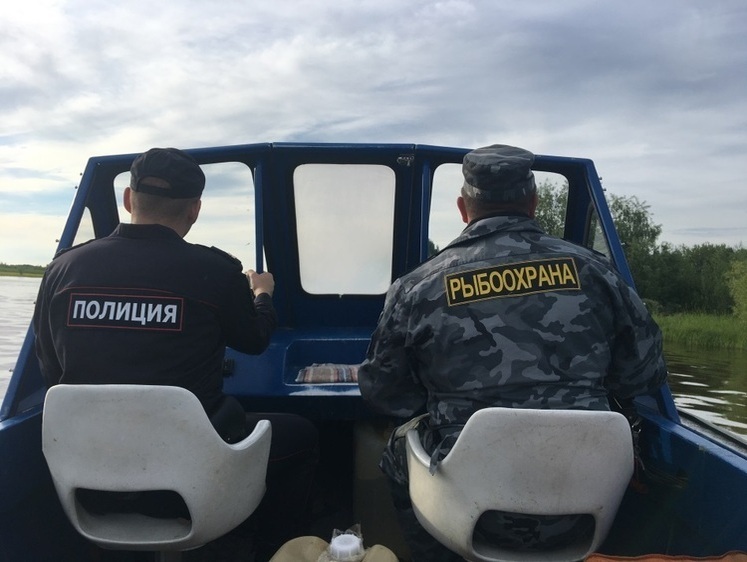 Изображение Для возбуждения уголовных дел за неделю передали 28 материалов