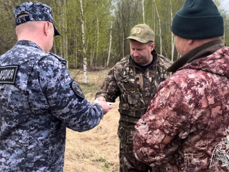 Изображение В Костромской области сознательность охотников резко повысилась