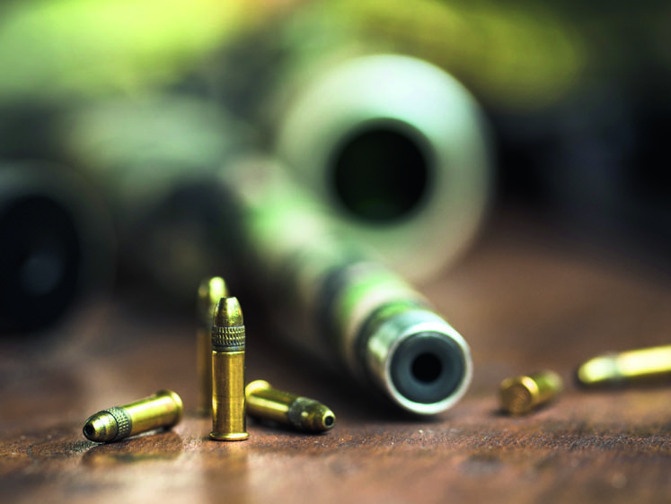 Изображение От .22 LR до .17 HMR. Перспективы развития оружия