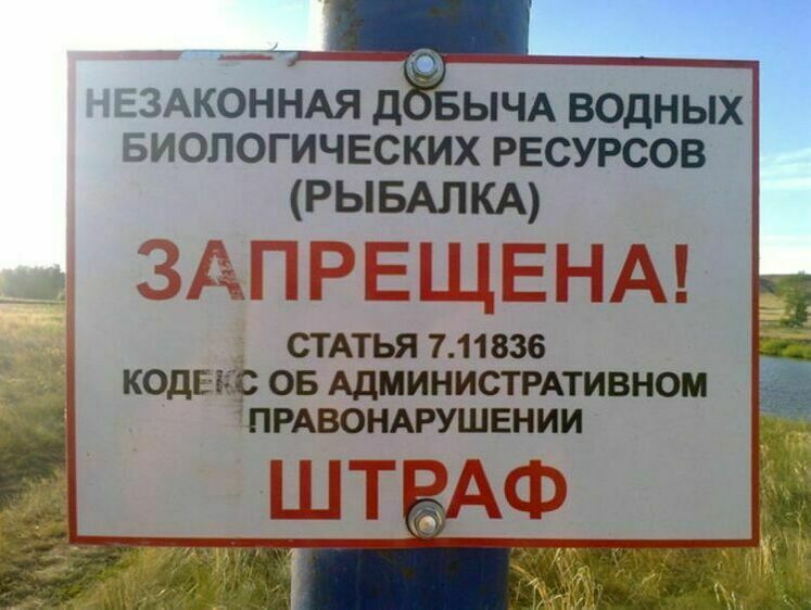 Изображение Госинспектор вместе с браконьерами ловил рыбу в нацпарке