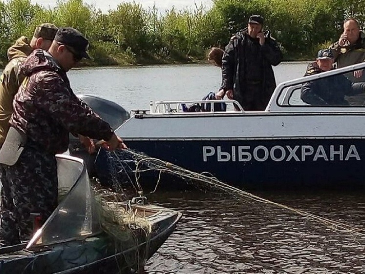 Изображение Режим постоянного рейда подтверждает свою эффективность