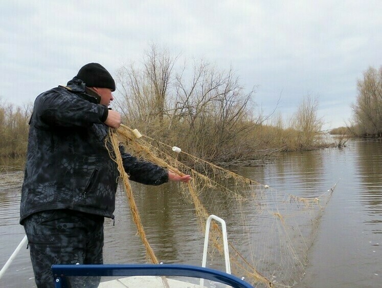 Изображение На Уральских водоемах за неделю изъяли 265 орудий лова