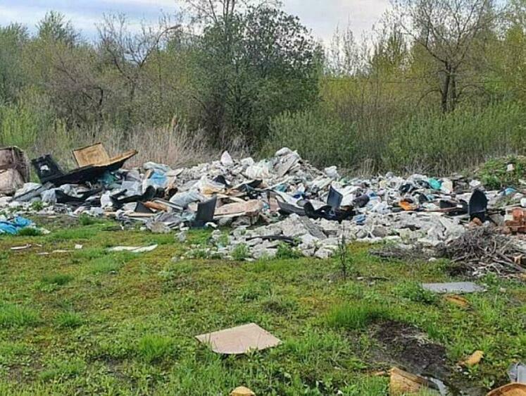 Изображение Охотники выступили в качестве экологов в томском лесу