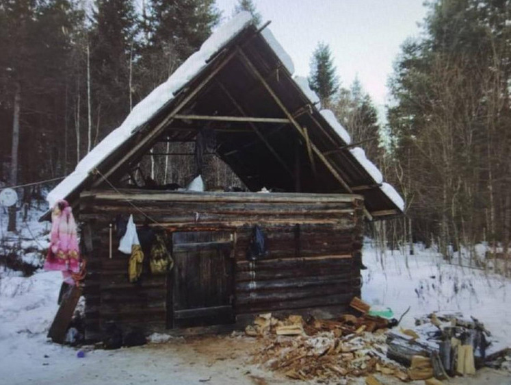 Изображение Нет руки и 2,5 млн рублей: высокая цена амурского тигра