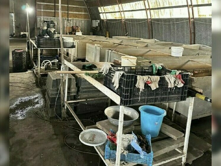 Изображение Продажу браконьерских раков местный торгаш организовал в ангаре