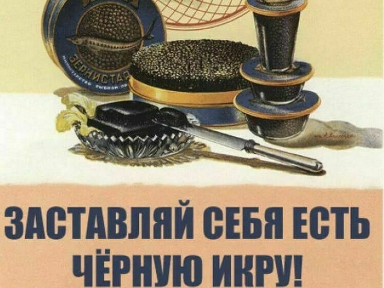 Изображение Торговля браконьерской икрой закончилась лишением свободы