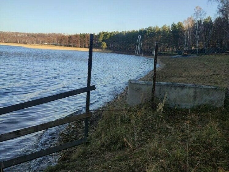 Изображение В федеральную собственность вернули 50 га леса на берегу озера