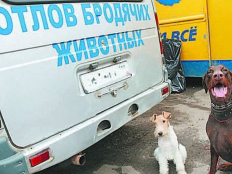 Изображение Гуманной ликвидации быть: в Якутии изменили закон о «блоховозах»