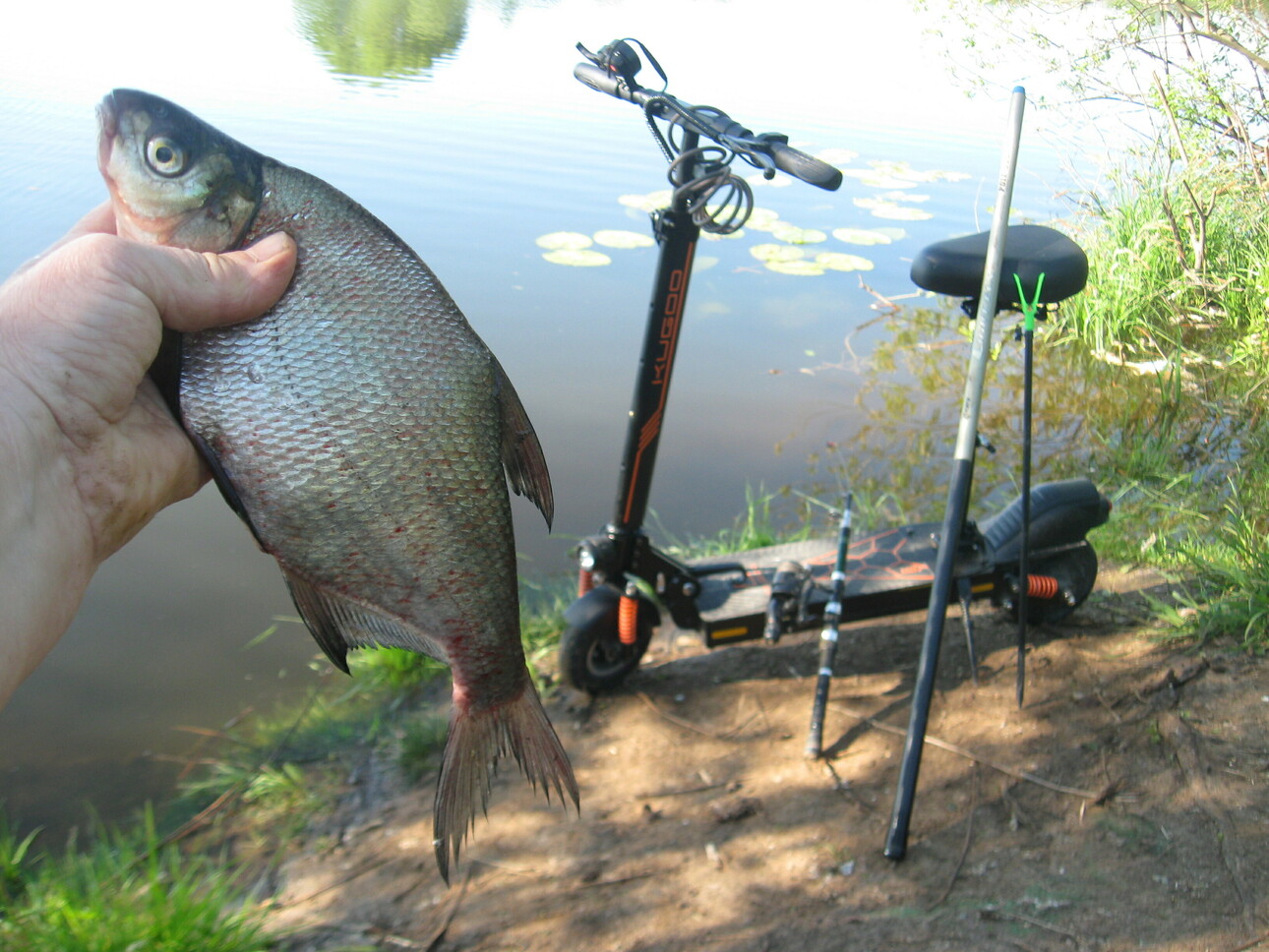Изображение Фото автора.