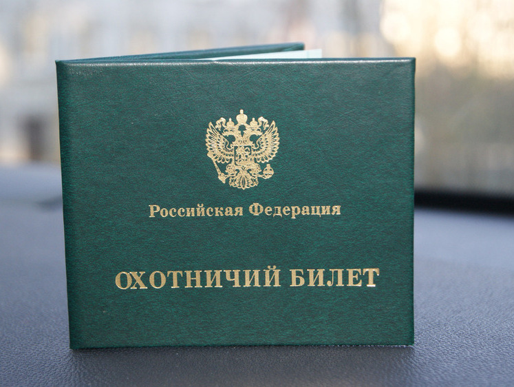 Изображение Более 2750 граждан Подмосковья получили охотничий билет