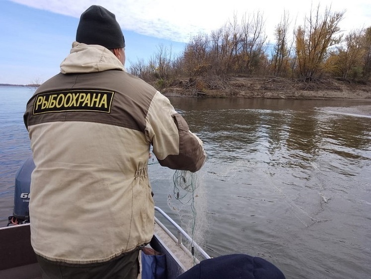 Изображение Улов браконьера составил 9 окуней и уголовное дело