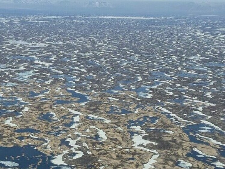 Изображение Водоемы плато Путорана пополнили молодью нельмы