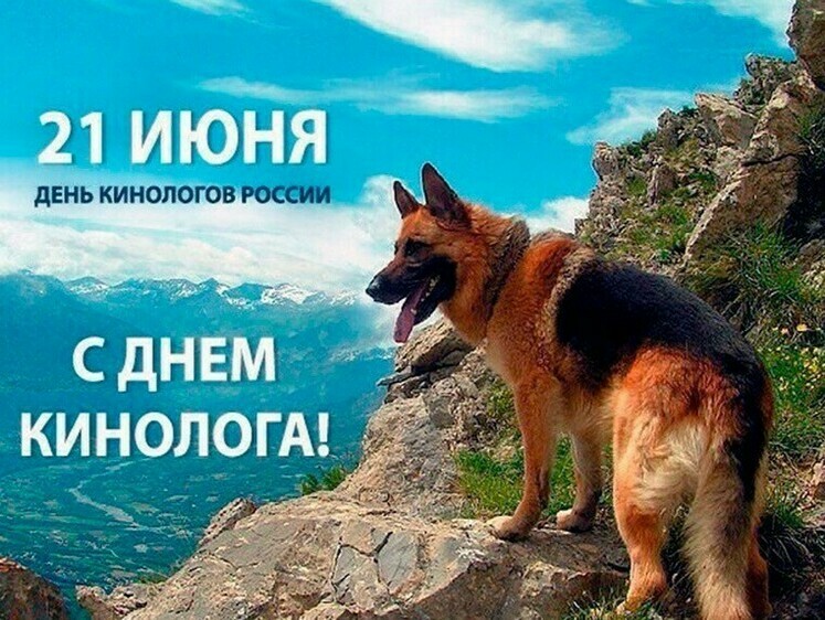 Изображение Редакция поздравляет читателей с Днем кинолога!