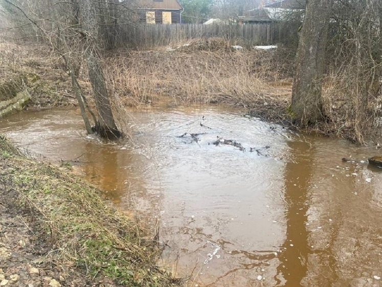 Изображение Землевладелец заплатит 5,3 млн за мусор в водоохранной зоне