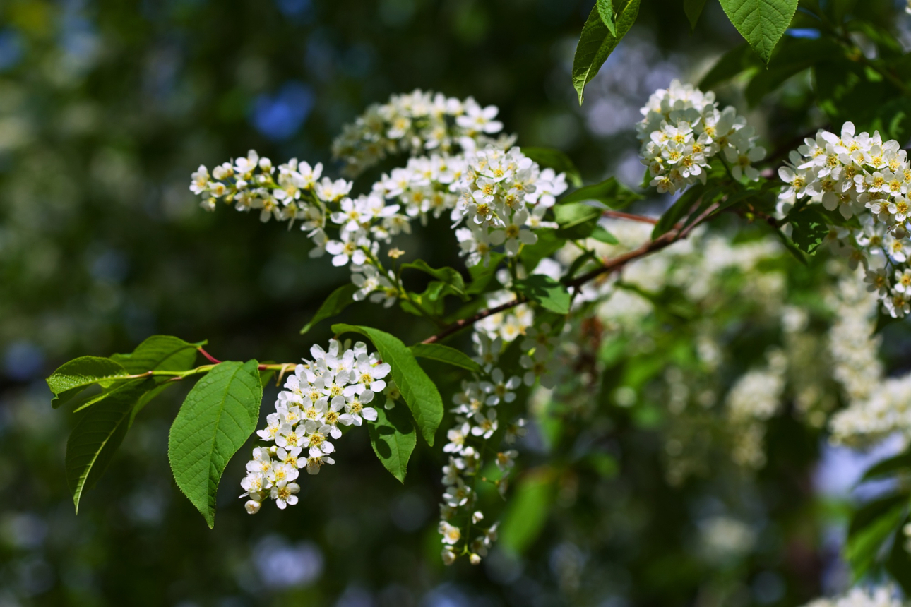 Изображение Фото: Freepik