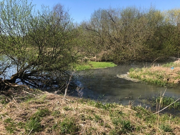 Изображение Коммунальщики не хотят платить за грязную воду в Ижоре